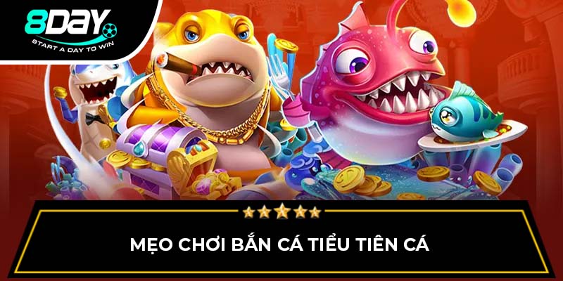 Mẹo chơi bắn cá tiểu tiên cá Mẹo chơi bắn cá tiểu tiên cá