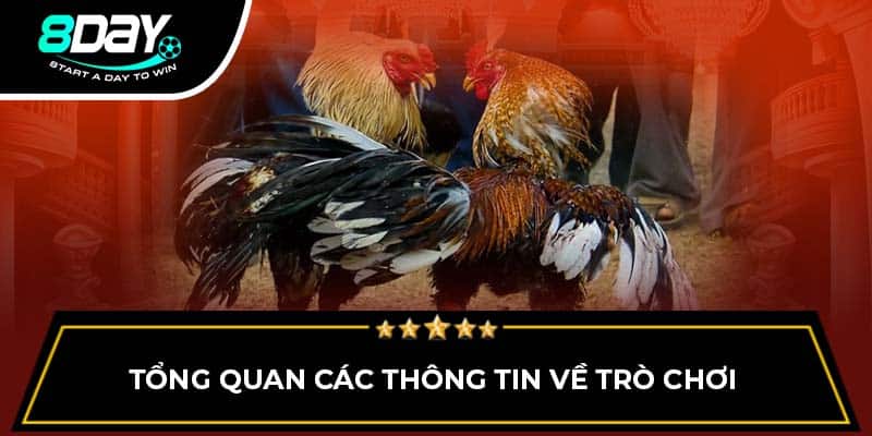 Tổng quan các thông tin về trò chơi Tổng quan các thông tin về trò chơi